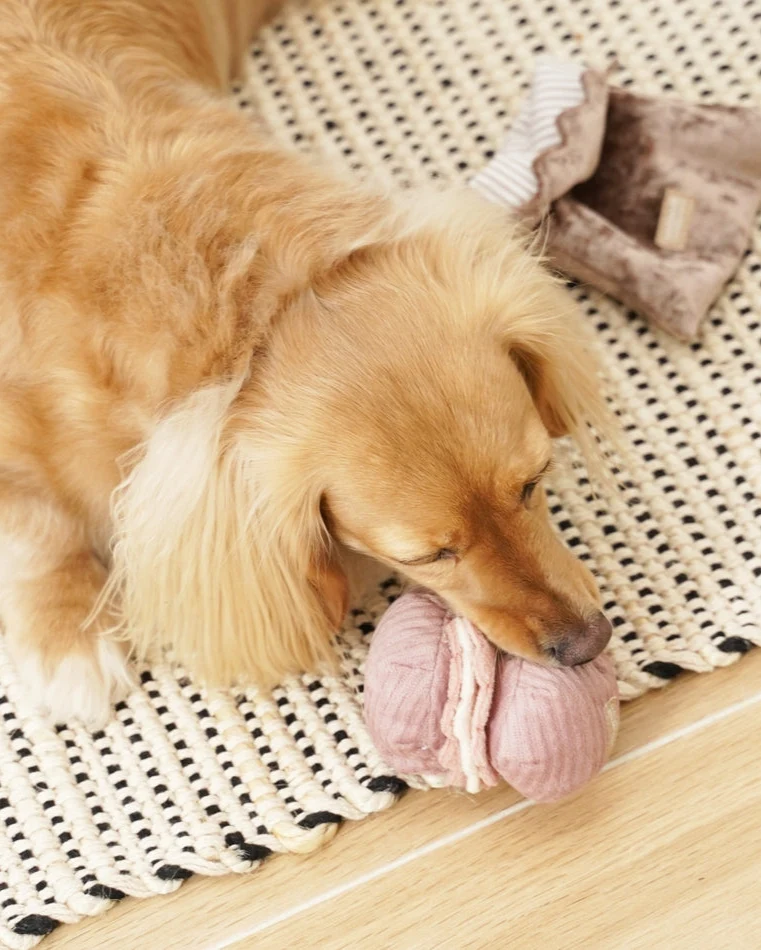 Petit Paws Pastry Duo Dog Toy - Image 4