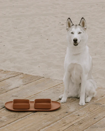 Hip To Be Square Dog Bowl + Mat Set, Brown - Image 4
