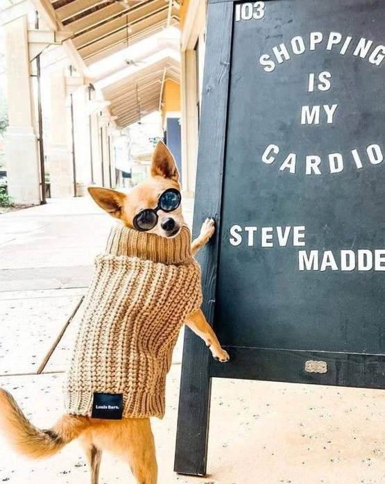 Adele Mocha Turtleneck Dog Sweater - Image 2