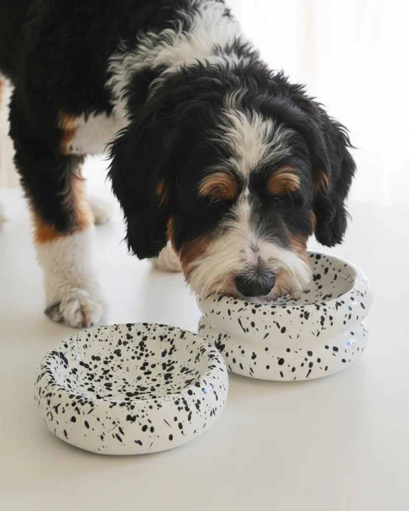 Modern Muse Tall Halo Pet Bowl in Ink - Image 3