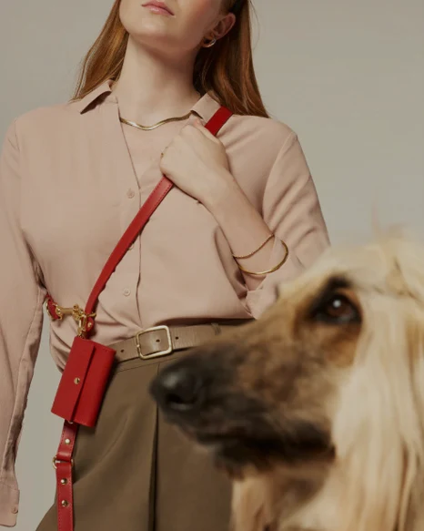 Multi-Position Red Leather Dog Leash - Image 2