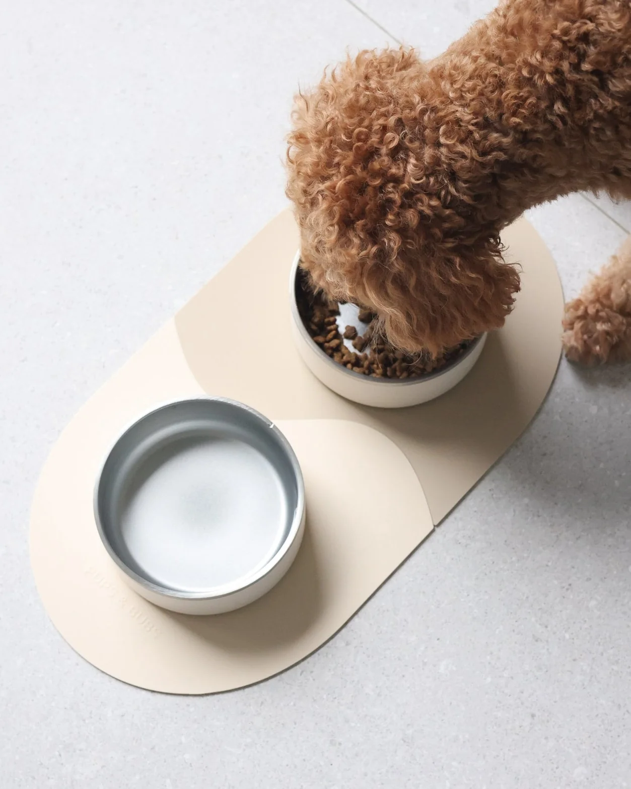 Supper Club Coconut Dog Bowl Set - Image 5