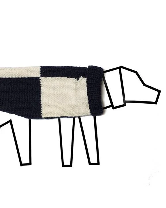 Check You Out Navy + White Dog Sweater - Image 5