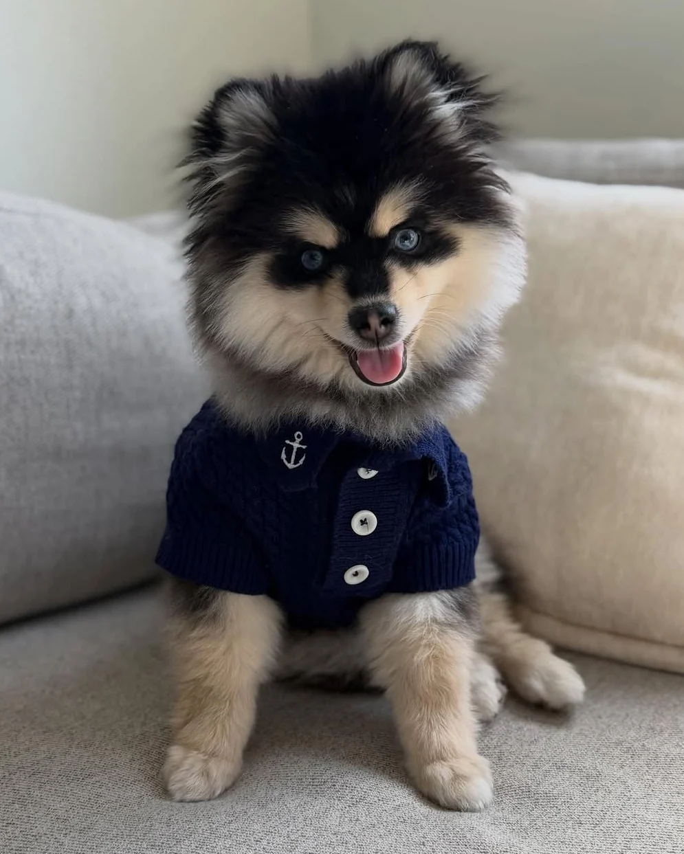 Little Skipper Navy Cable Knit Polo Sweater - Image 2