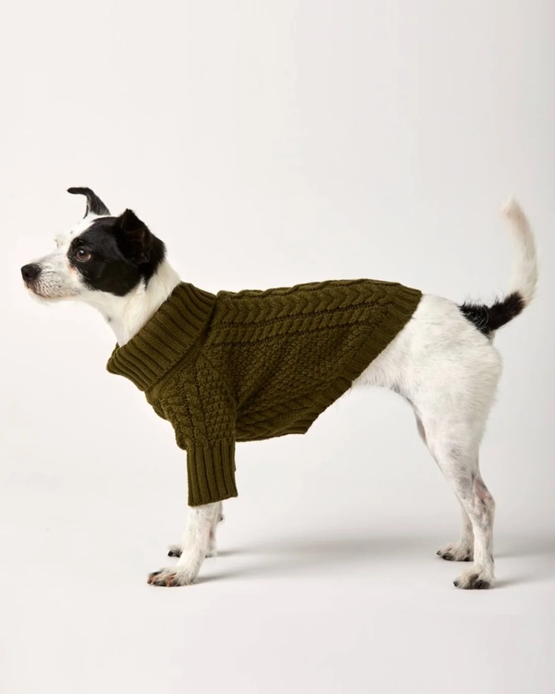 Olive You A Lot Green Cable Knit Dog Sweater - Image 4