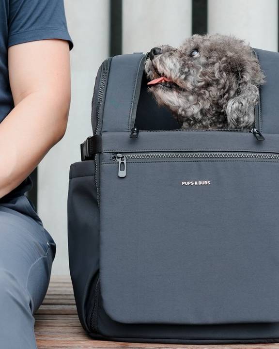 Adventure Awaits Black Pet Backpack - Image 2