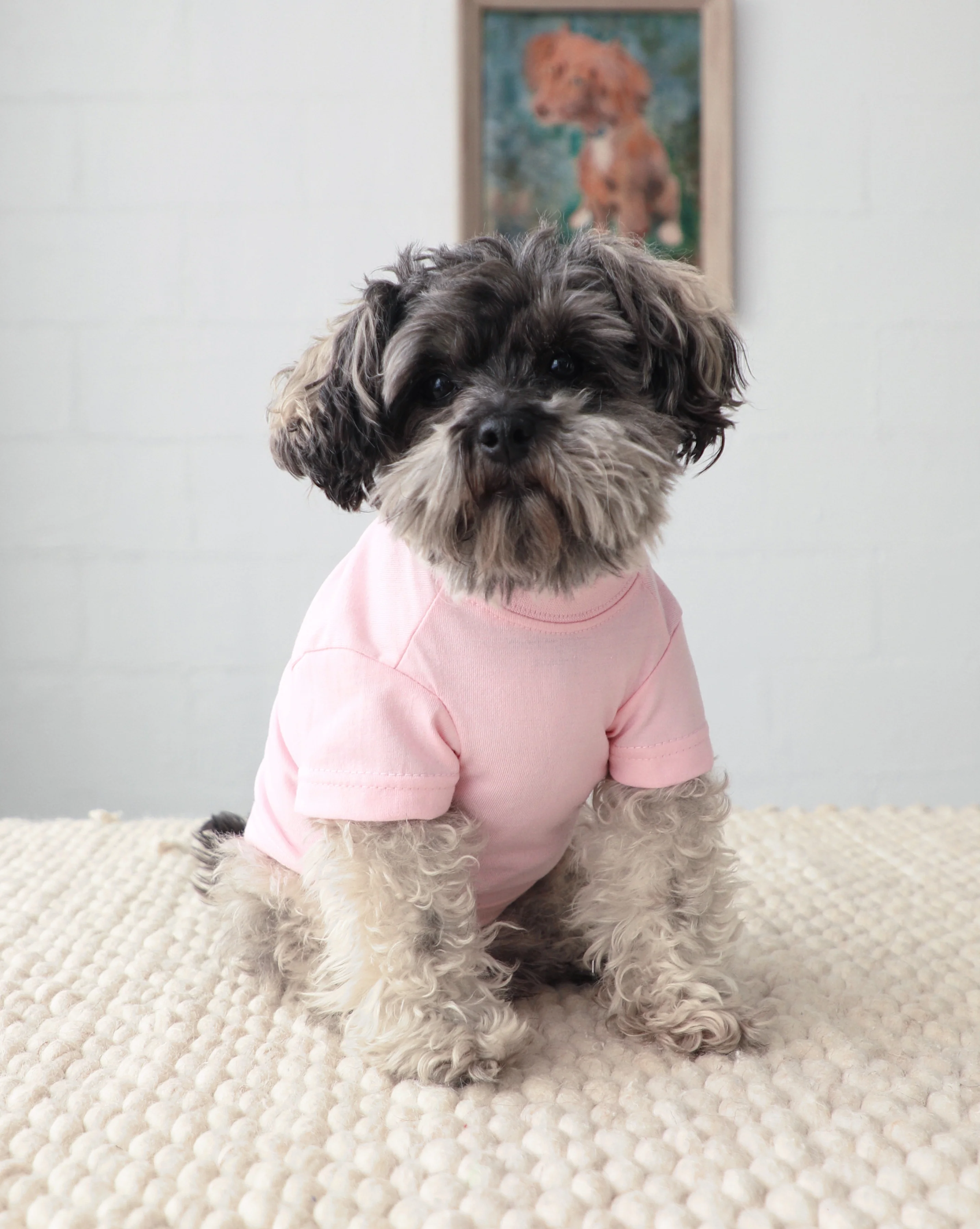 Casual Cutie Pink Dog T-Shirt
