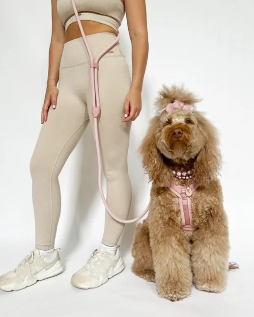 Sunday Stroll Hands-Free Rose Dog Leash - Image 2