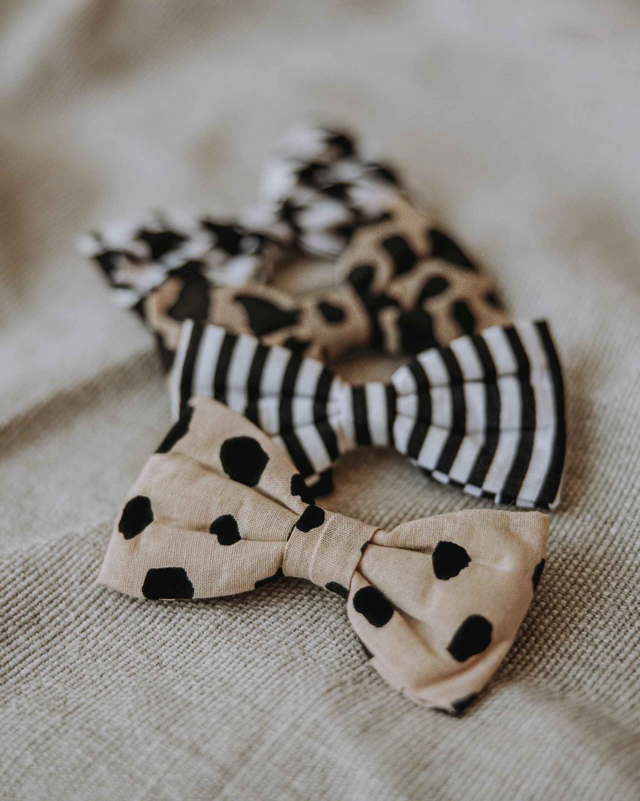 Apollo Dot Print Bow Tie - Image 4