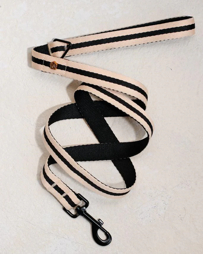 Le Classic Dog Leash in Rue Cambon