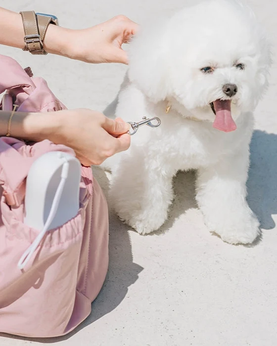 Roundtrip Cutie Pink Petite Pet Carrier - Image 4