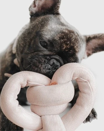 Lola Squeaker Toy in Pink - Image 8