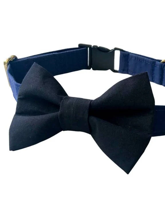 Take a Bow Black Cotton Bow Tie - Image 2