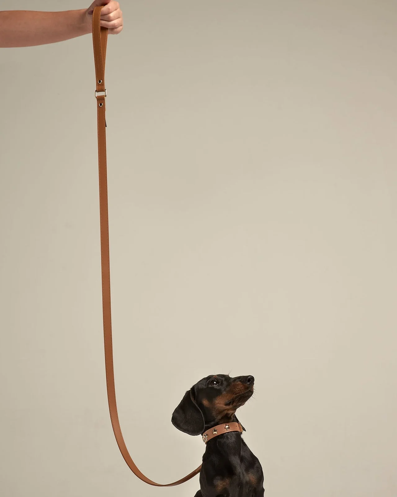 Nara Camel Leather Dog Leash - Image 2