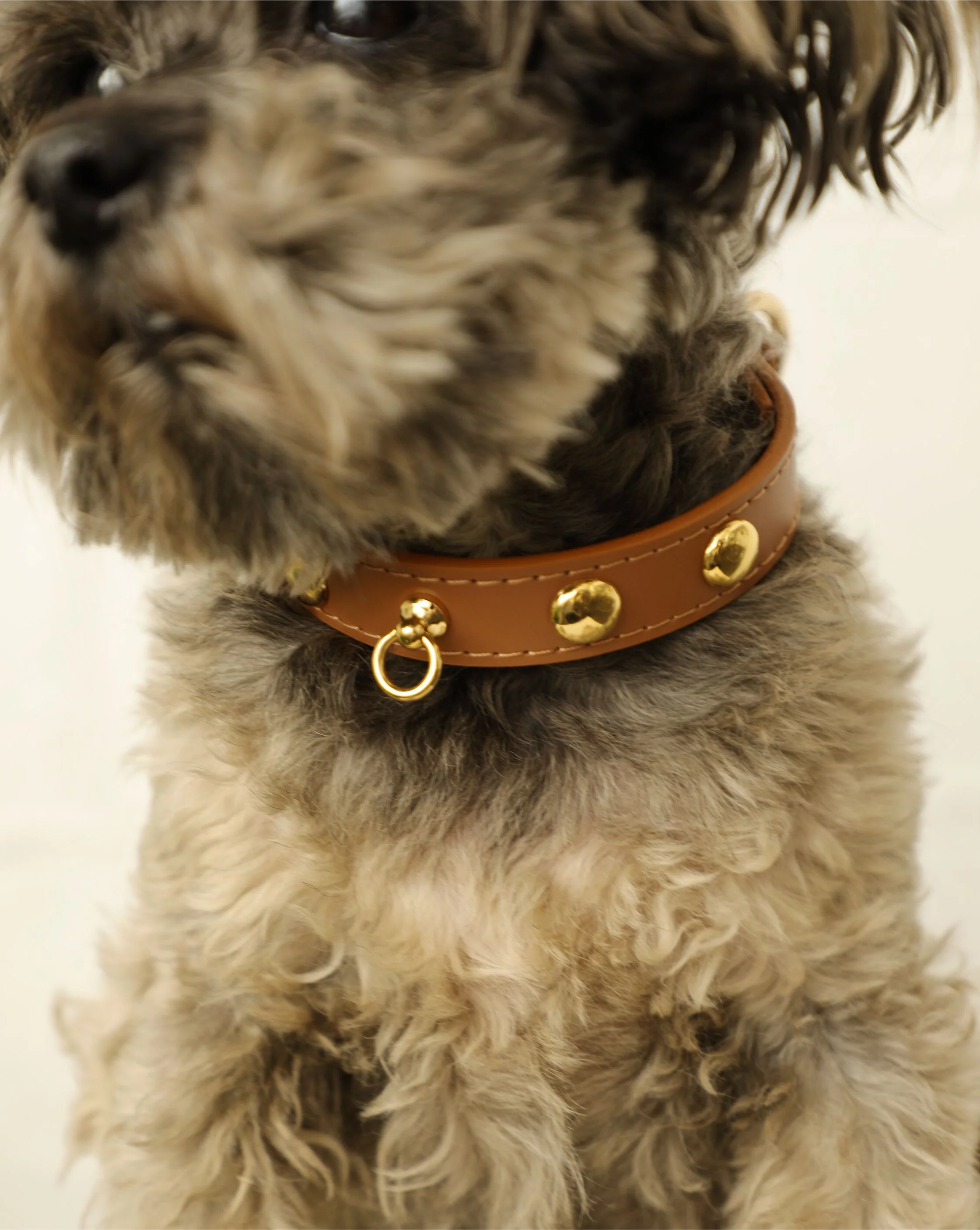 Nara Studded Camel Leather Collar - Image 5
