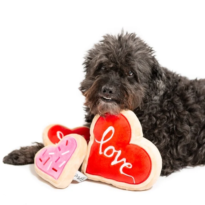 Sweetheart Sugar Cookie Plush Toy - Image 4