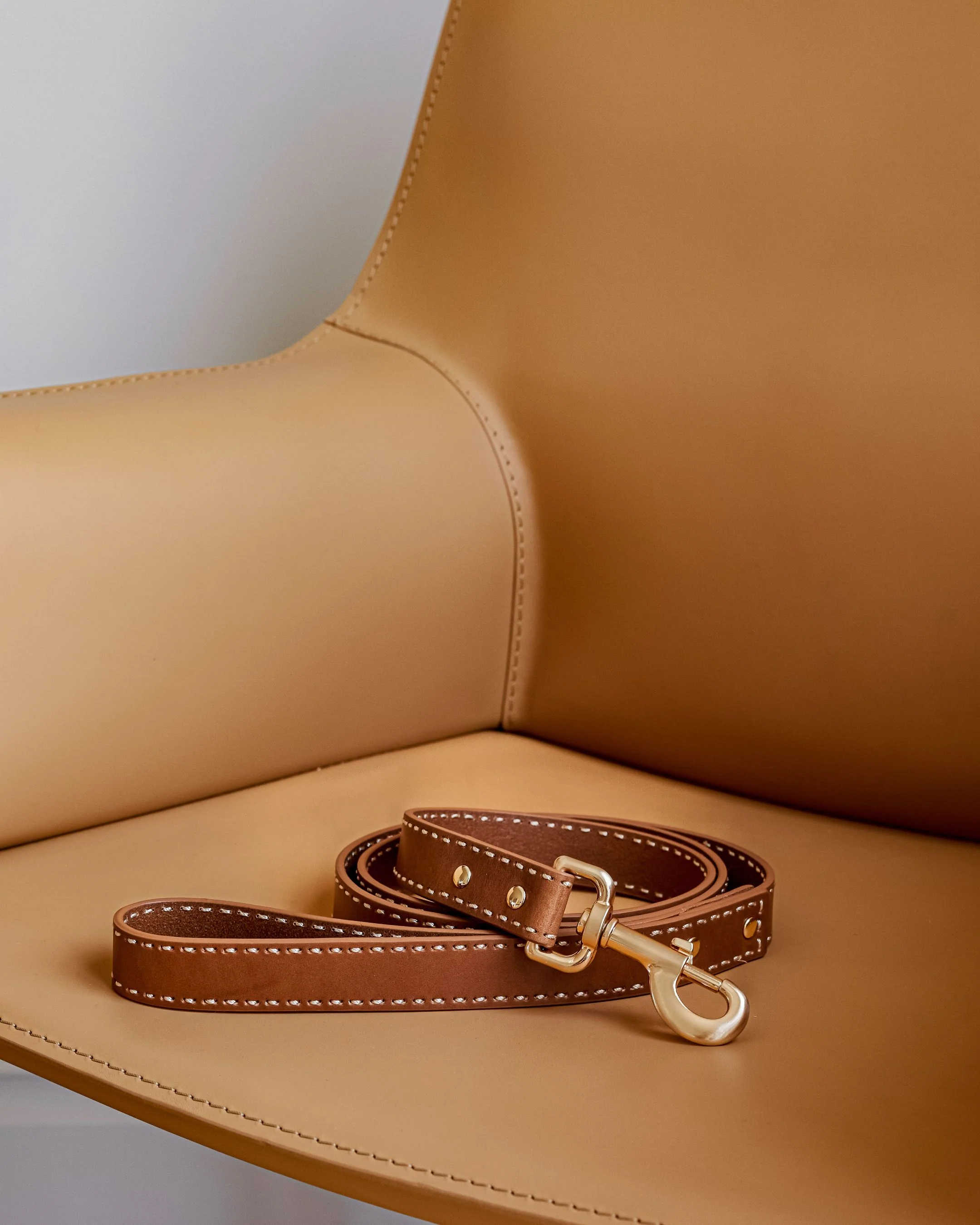 Take the Lead Tan Leather Dog Leash - Image 3