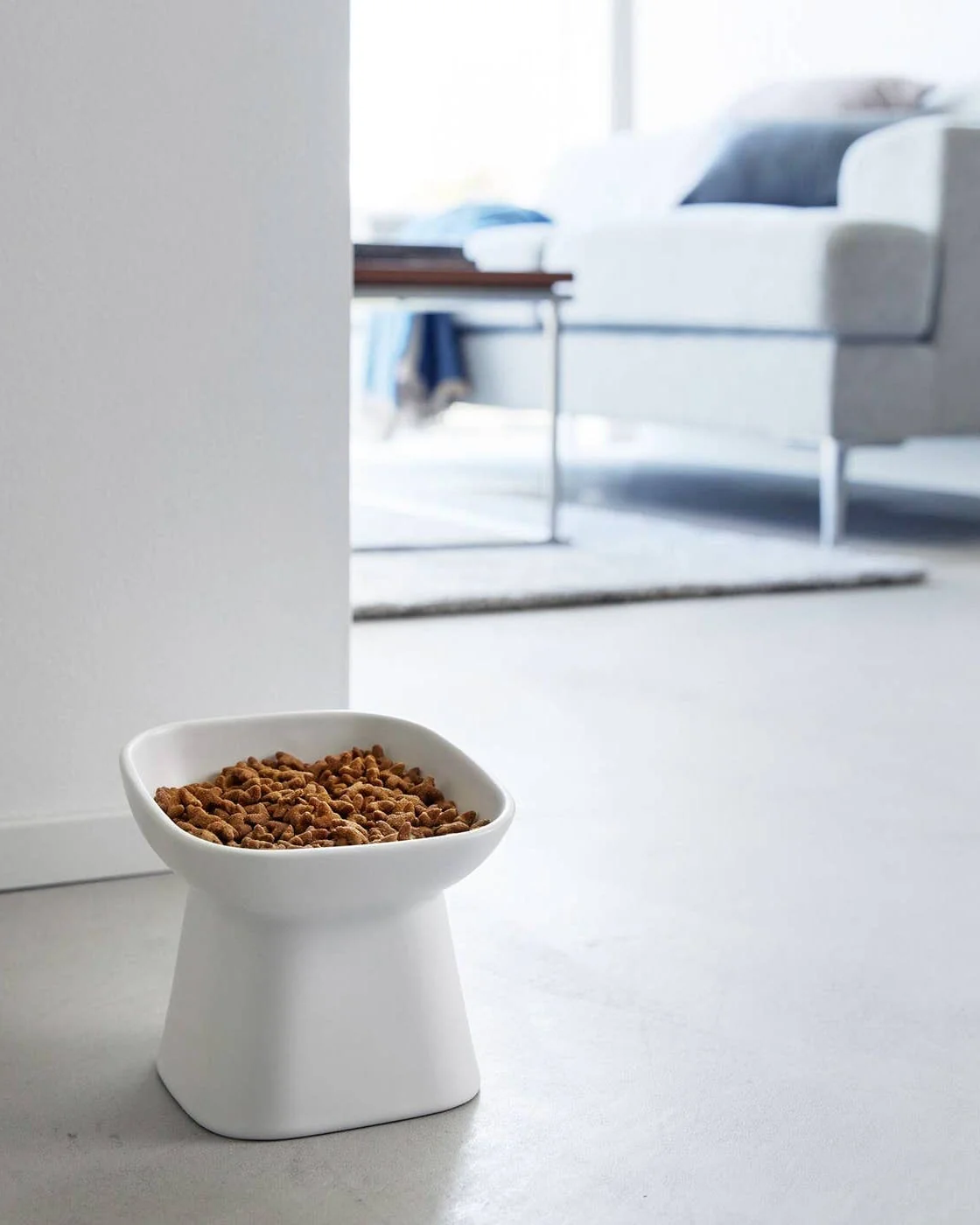 Café Canine White Tilted Dog Bowl
