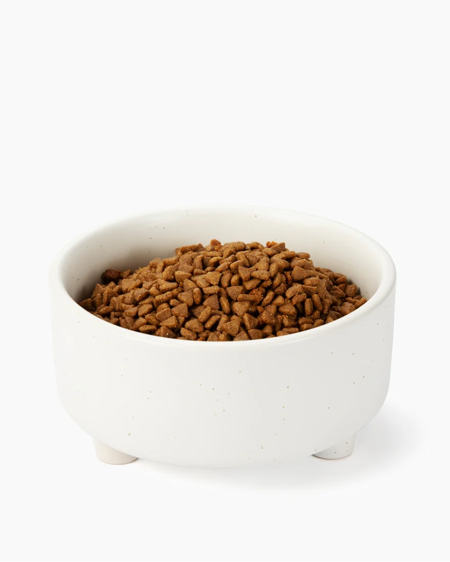 Treat Yourself White Ceramic Dog Bowl
