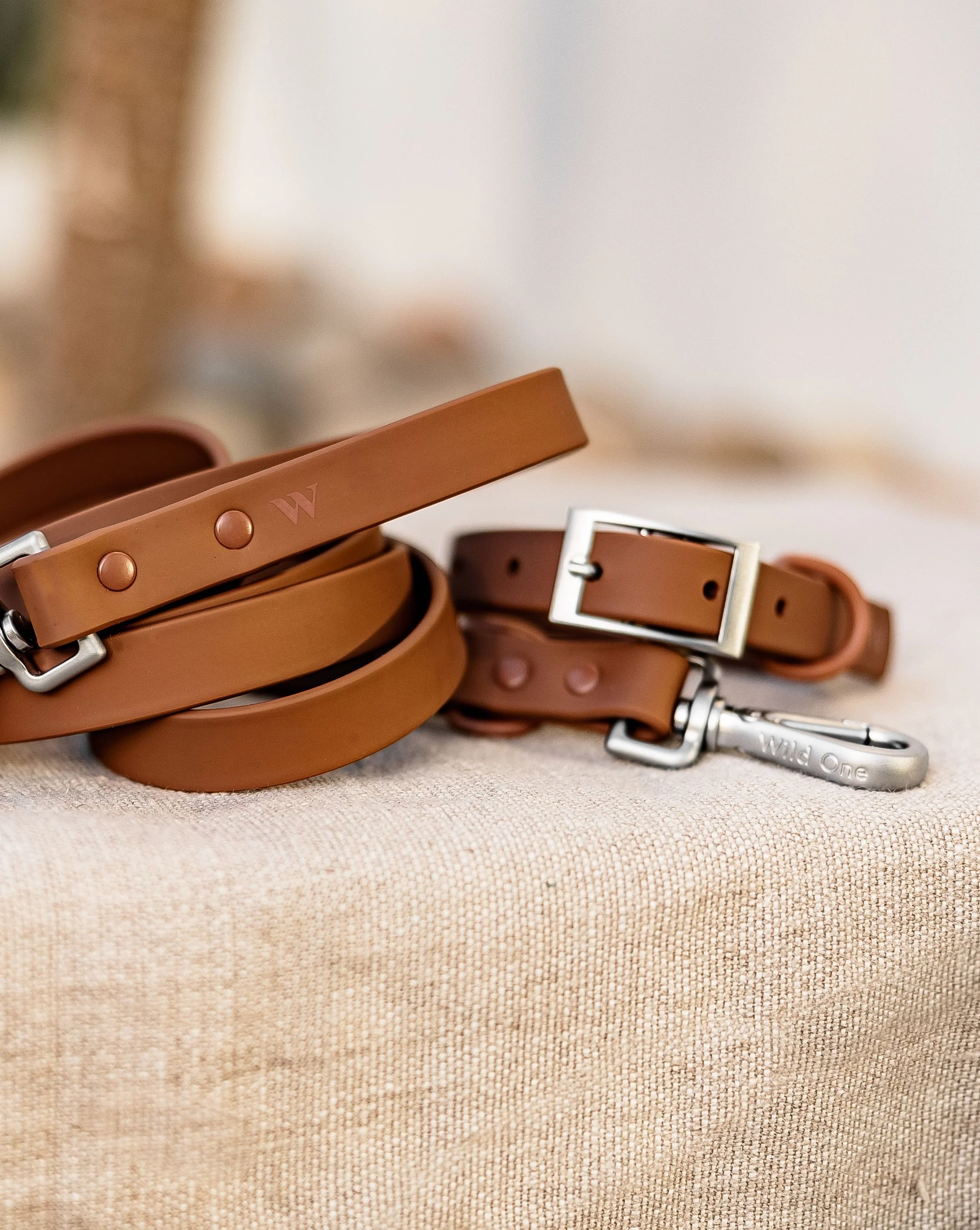 Wild One Cocoa Dog Collar - Image 7